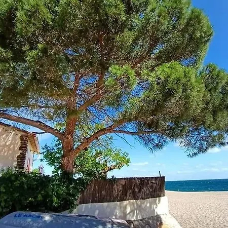 Climatise Avec Parking A 450m Des Plages - Fr-1-776-76 Argelès-sur-Mer