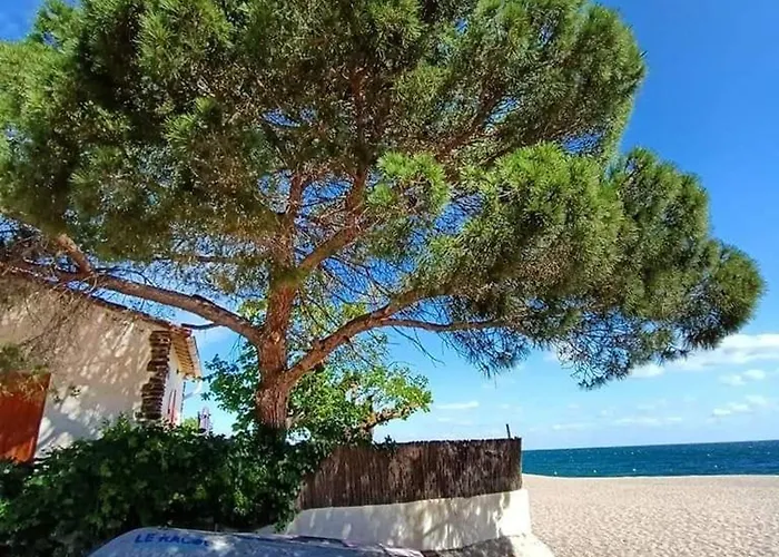 Climatise Avec Parking A 450m Des Plages - Fr-1-776-76 Argelès-sur-Mer