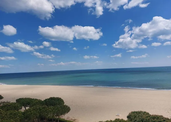 Climatise Avec Parking A 450m Des Plages - Fr-1-776-76
